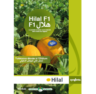 HILAL F1