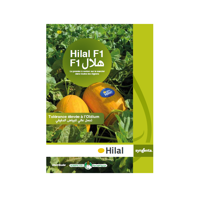 HILAL F1