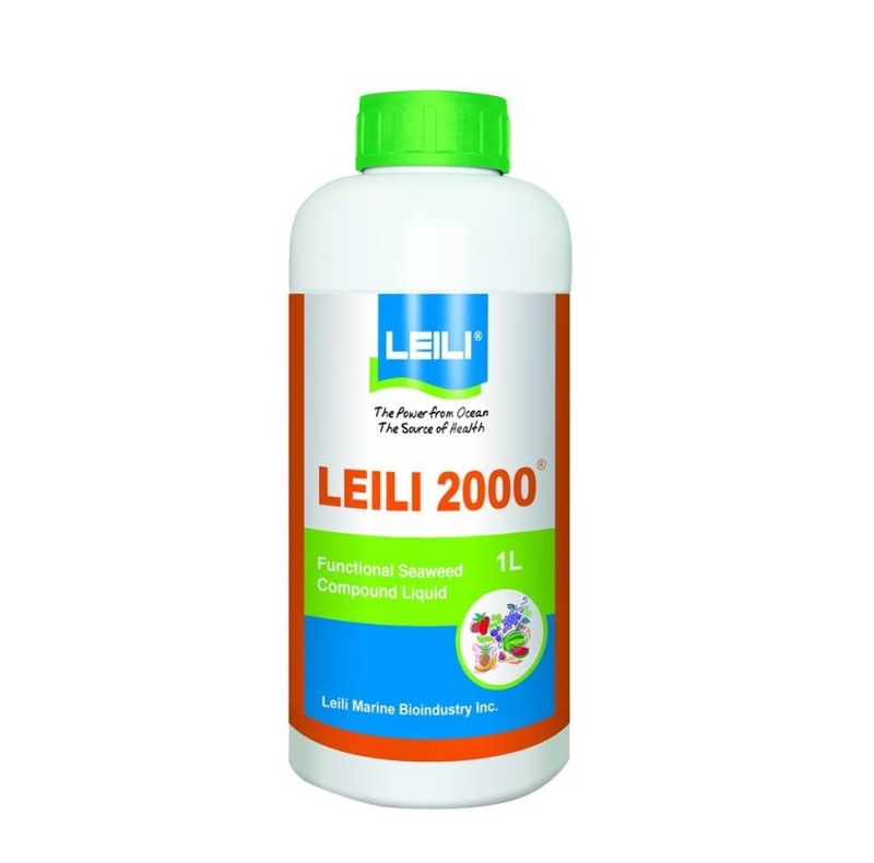 Leili 2000