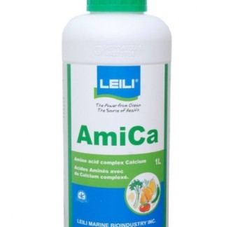 Amica