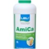 Amica