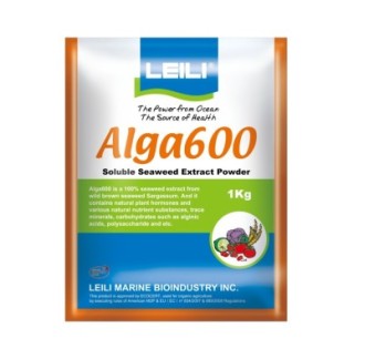 Alga 600