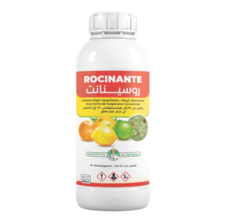 ROCINANTE SC