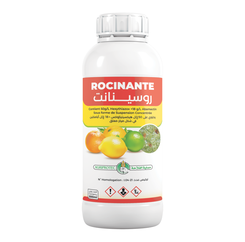 ROCINANTE SC