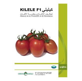 KILELE F1