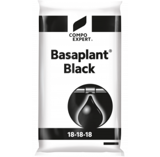 BASAPLANT BLACK