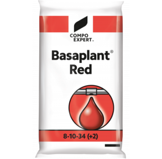 BASAPLANT RED